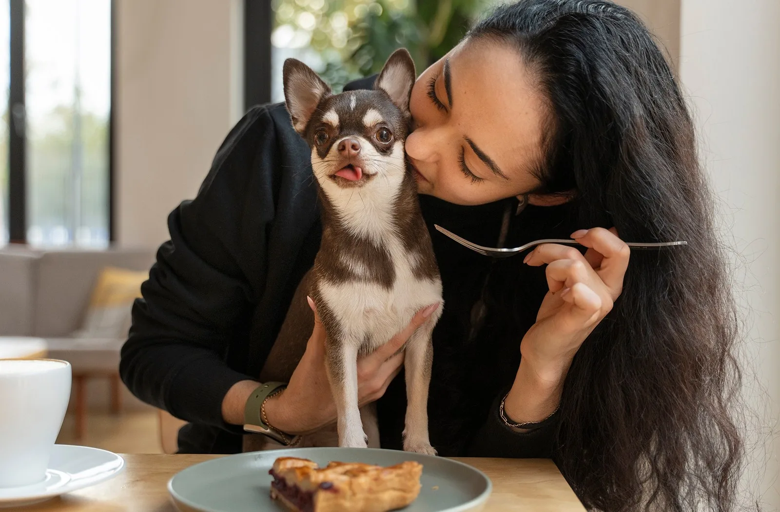 Kafede chihuahua cinsi köpeğiyle oturan kadın