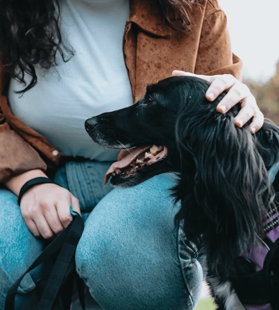 Siyah spaniel köpeğini seven sahibi
