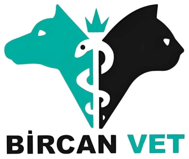 Bircan Vet logosu: köpek ve kedi silueti