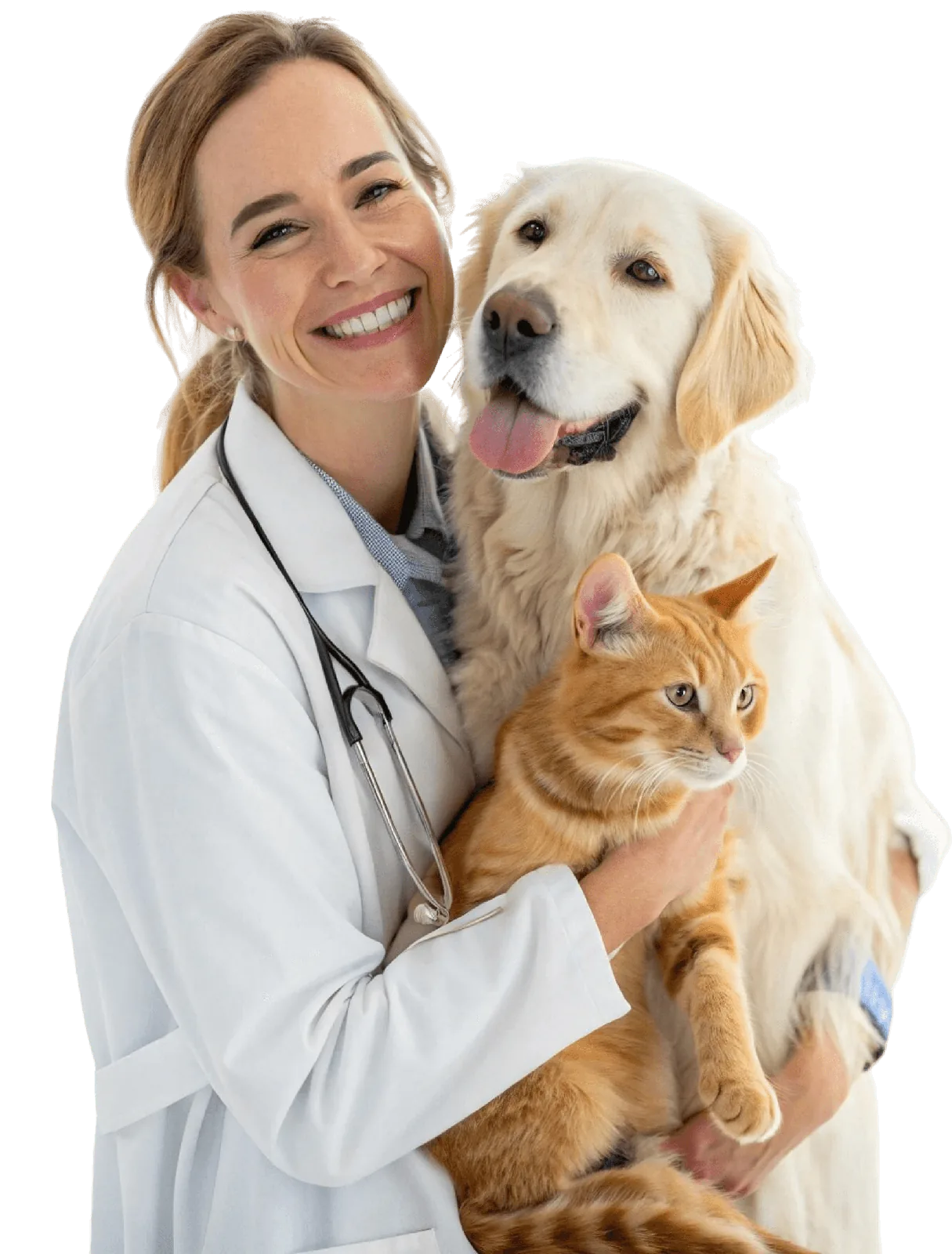 Kucağında bir köpek ve bir kedi tutan veteriner hekim